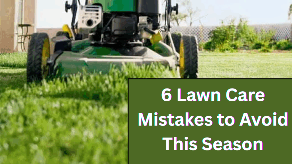 6 Lawn Care Mistakes to Avoid This Season (and What to Do Instead)