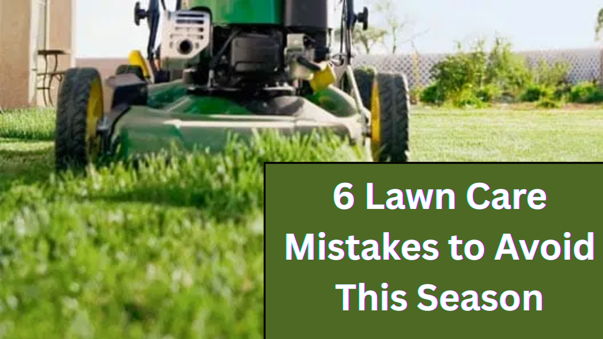 6 Lawn Care Mistakes to Avoid This Season (and What to Do Instead)