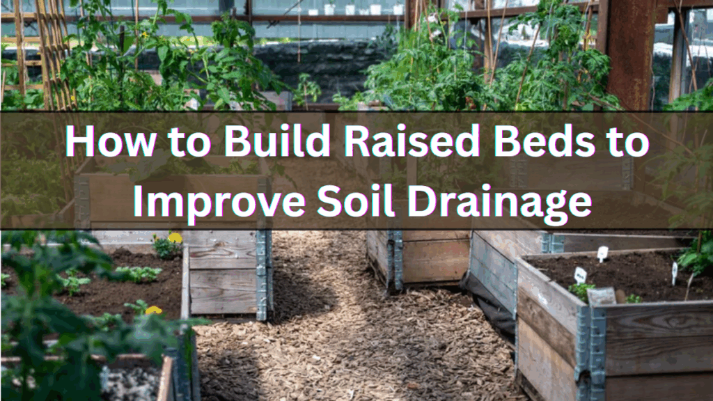 How to Build Raised Beds to Improve Soil Drainage (Step-by-Step)