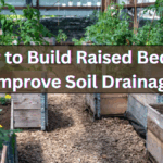 How to Build Raised Beds to Improve Soil Drainage (Step-by-Step)
