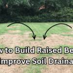 How to Revive Brown Patches Before Winter (Fast Fix Guide)