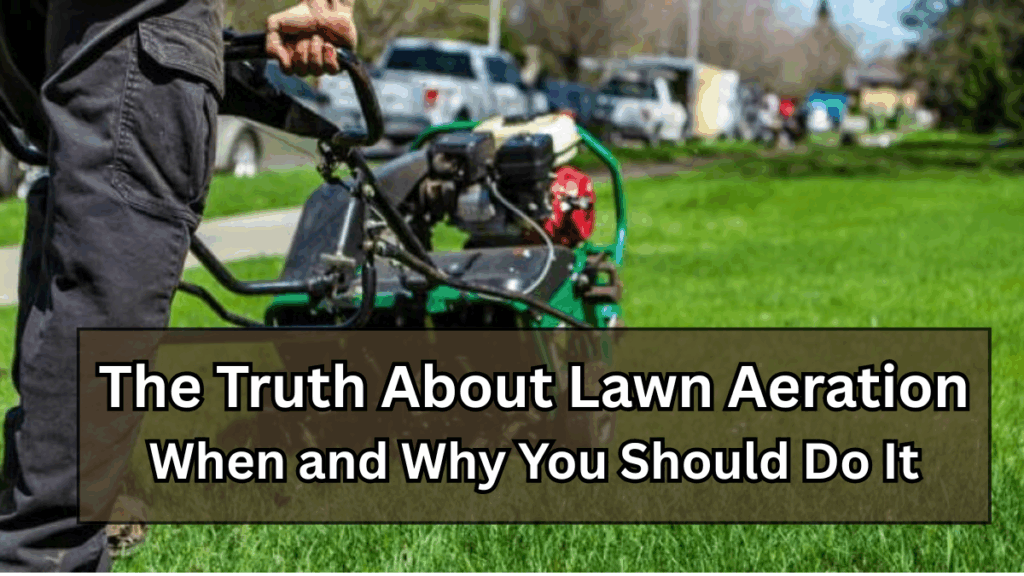 The Truth About Lawn Aeration: When and Why You Should Do It