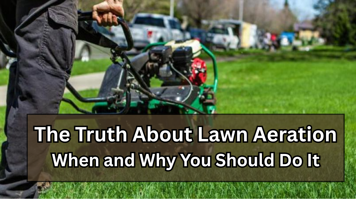 The Truth About Lawn Aeration: When and Why You Should Do It