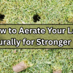 How to Aerate Your Lawn Naturally for Stronger Grass