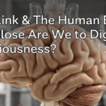 Neuralink & The Human Brain: How Close Are We to Digital Consciousness?