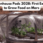 Mars Greenhouse Pods 2028: First Experiments to Grow Food on Mars