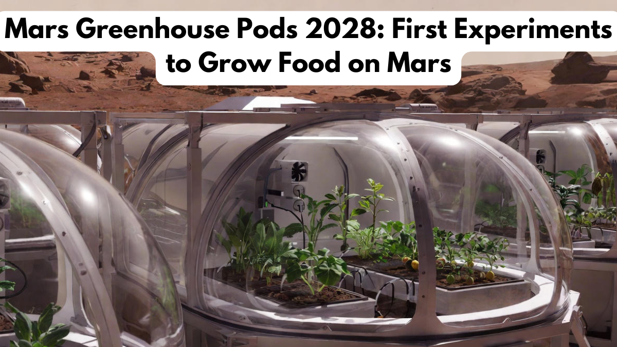Mars Greenhouse Pods 2028: First Experiments to Grow Food on Mars