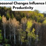 How Seasonal Changes Influence Human Productivity
