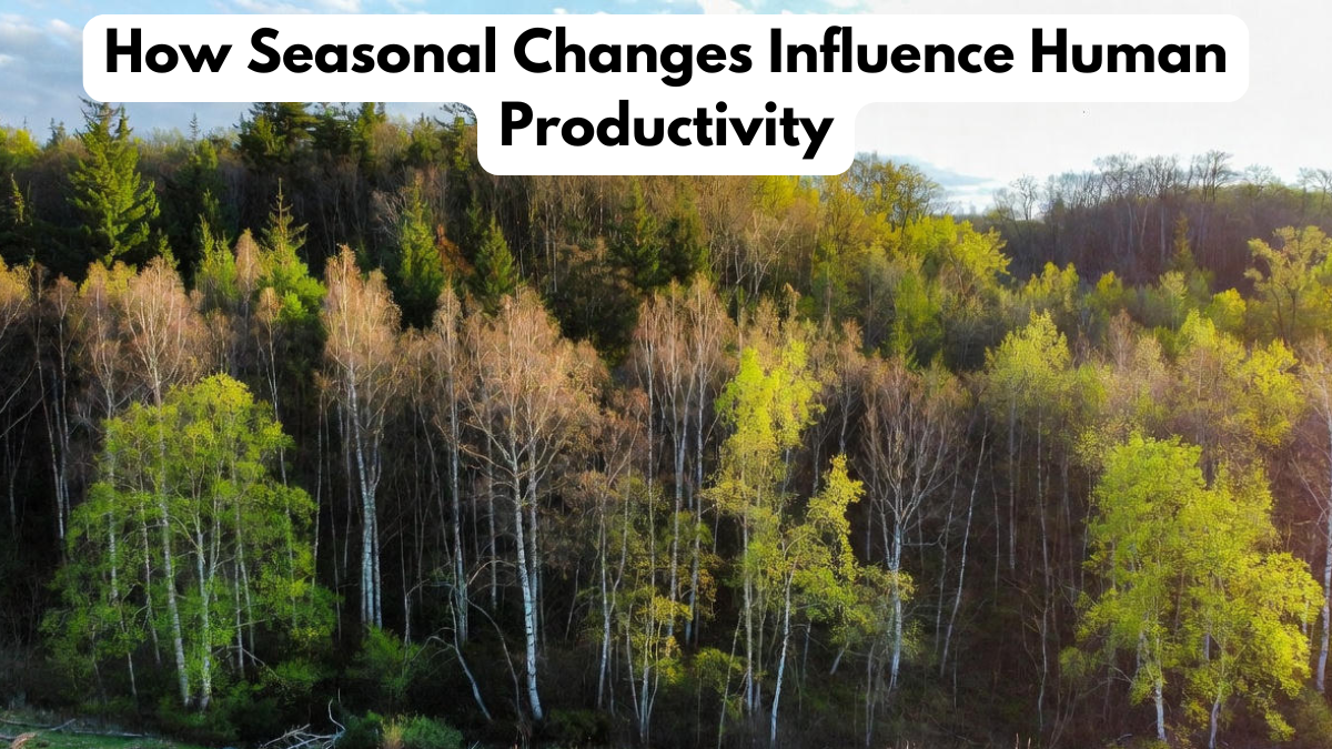 How Seasonal Changes Influence Human Productivity